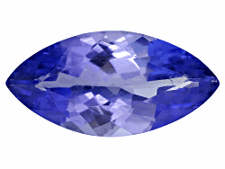 TZM013