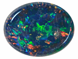 OPV059