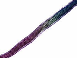 JSWR21C