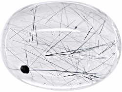 ACTAB01358