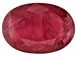 RBV073