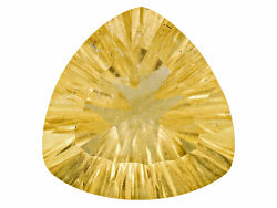 ACTHA01248