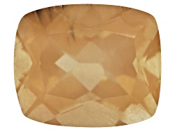 SUC037